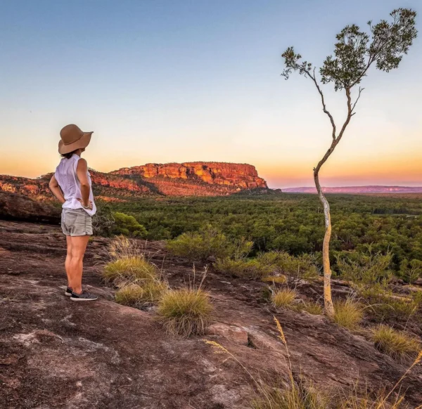 Burrungkuy Lookout: Kakadu’s Stunning Views and Rock Art