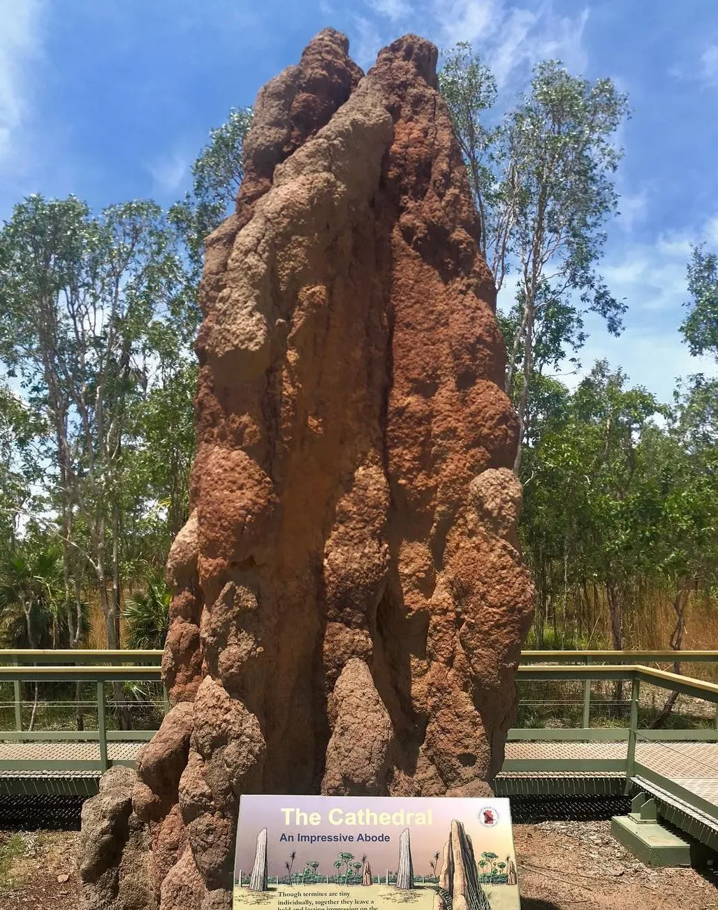 Magnetic Termite Mounds