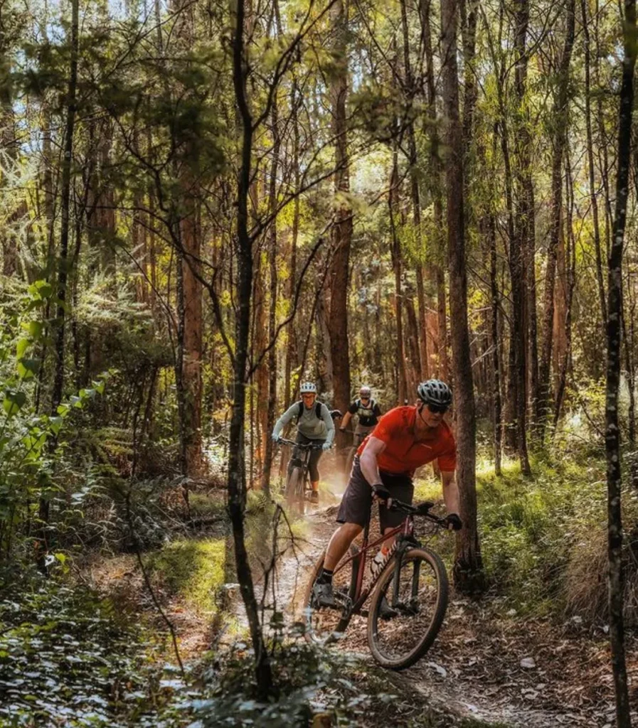 Mountain biking